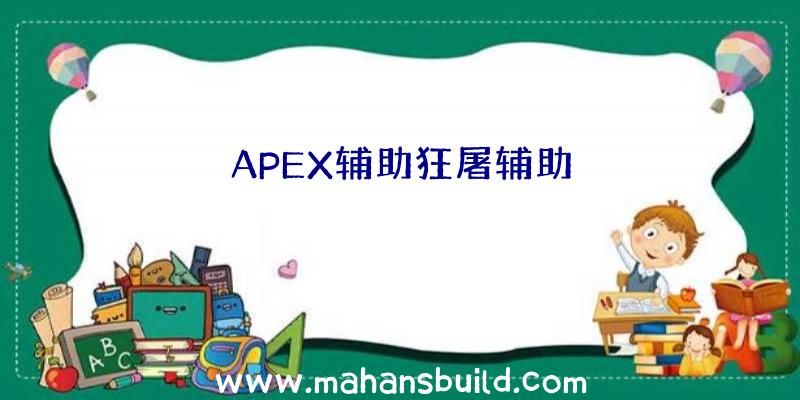 APEX辅助狂屠辅助