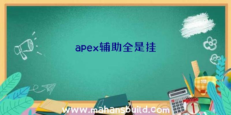 apex辅助全是挂