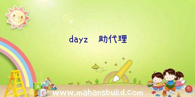 dayz辅助代理