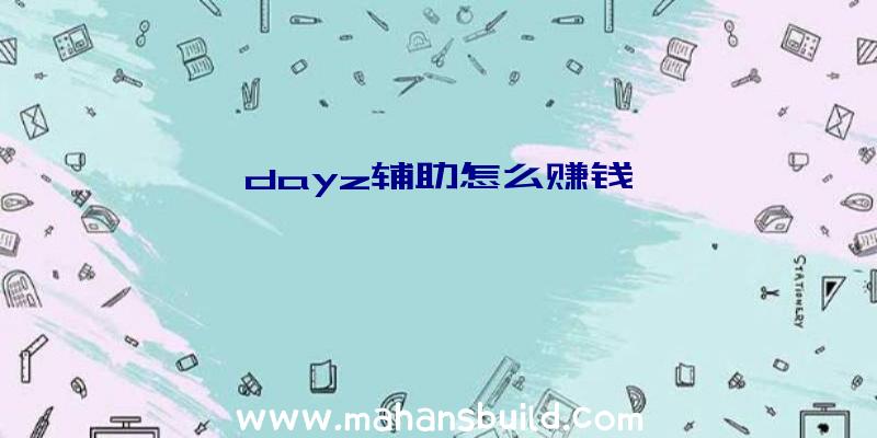 dayz辅助怎么赚钱