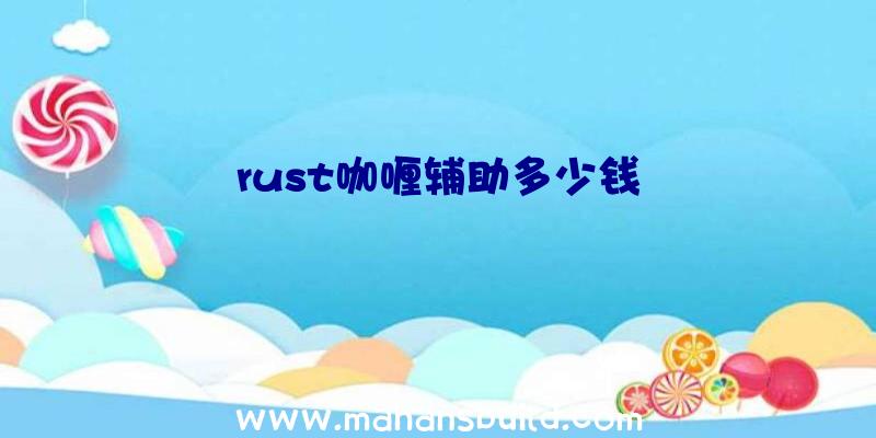 rust咖喱辅助多少钱