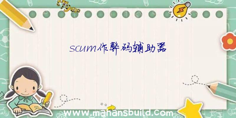 scum作弊码辅助器