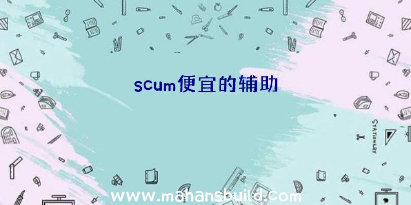 scum便宜的辅助