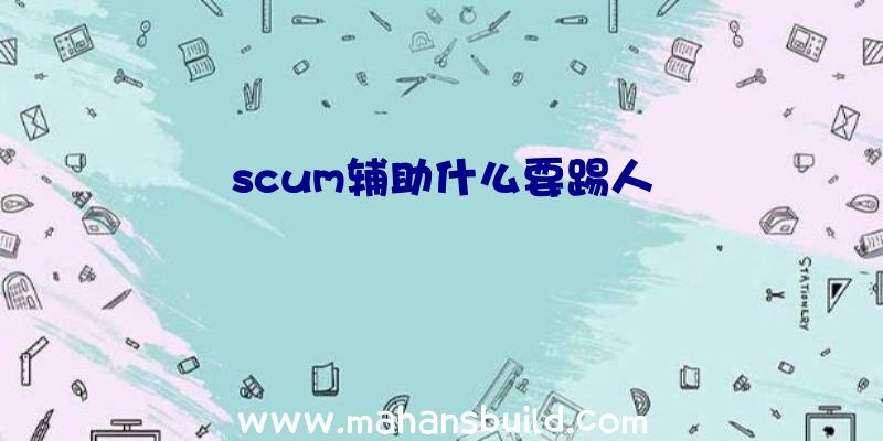 scum辅助什么要踢人