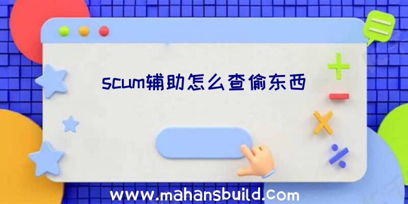 scum辅助怎么查偷东西