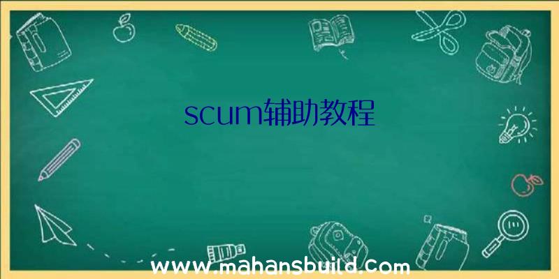 scum辅助教程