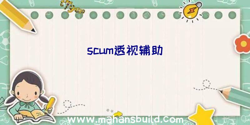 scum透视辅助