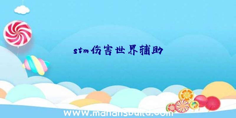 stm伤害世界辅助