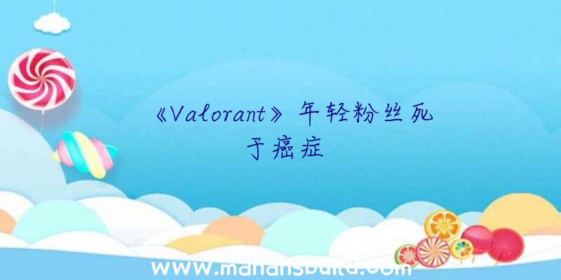 《Valorant》年轻粉丝死于癌症