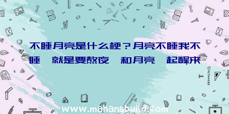 不睡月亮是什么梗？月亮不睡我不睡,就是要熬夜,和月亮一起醒来