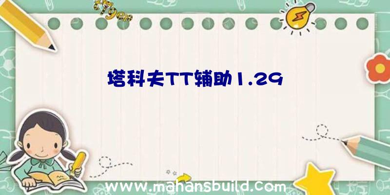 塔科夫TT辅助1.29