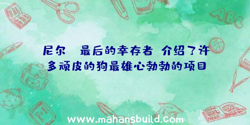 尼尔:《最后的幸存者》介绍了许多顽皮的狗最雄心勃勃的项目