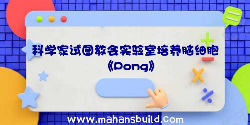 科学家试图教会实验室培养脑细胞《Pong》