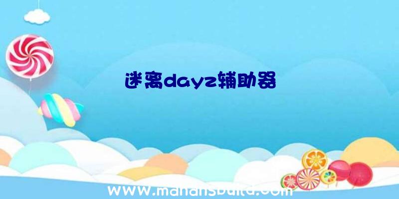 迷离dayz辅助器