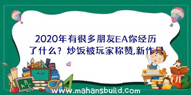 2020年有很多朋友EA你经历了什么？炒饭被玩家称赞,新作只