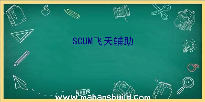 SCUM飞天辅助