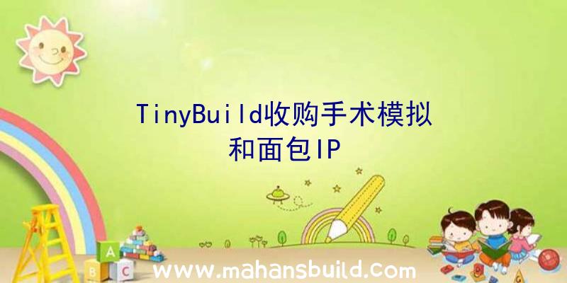 TinyBuild收购手术模拟和面包IP