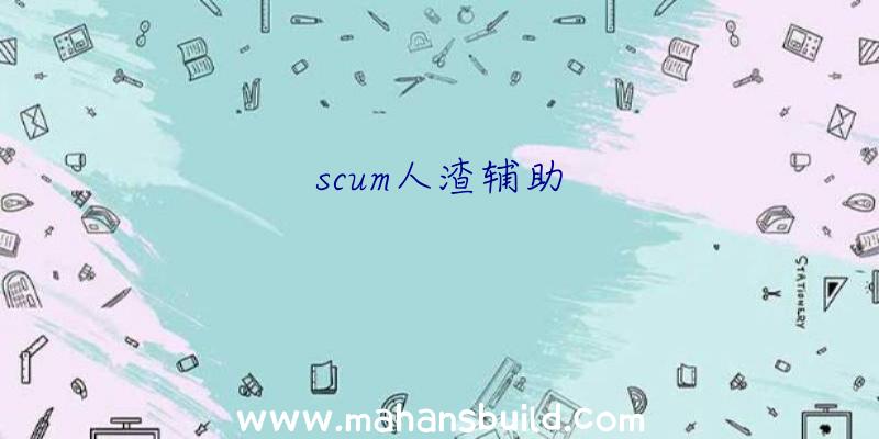 scum人渣辅助