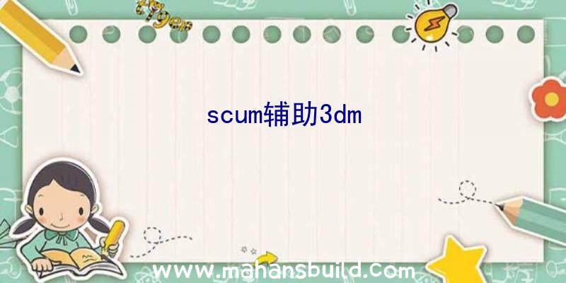 scum辅助3dm