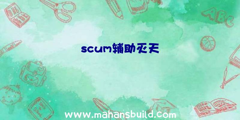 scum辅助灭天