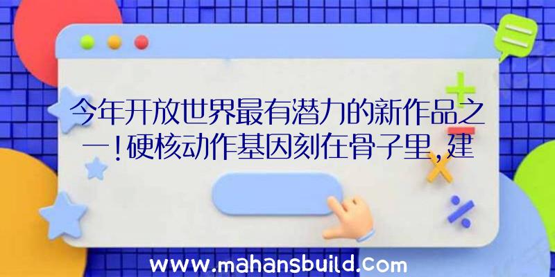 今年开放世界最有潜力的新作品之一!硬核动作基因刻在骨子里,建