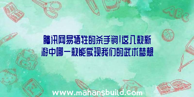 腾讯网易牺牲的杀手锏!这八款新游中哪一款能实现我们的武术梦想